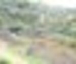 tiny_thumb_T03_MDouro_05