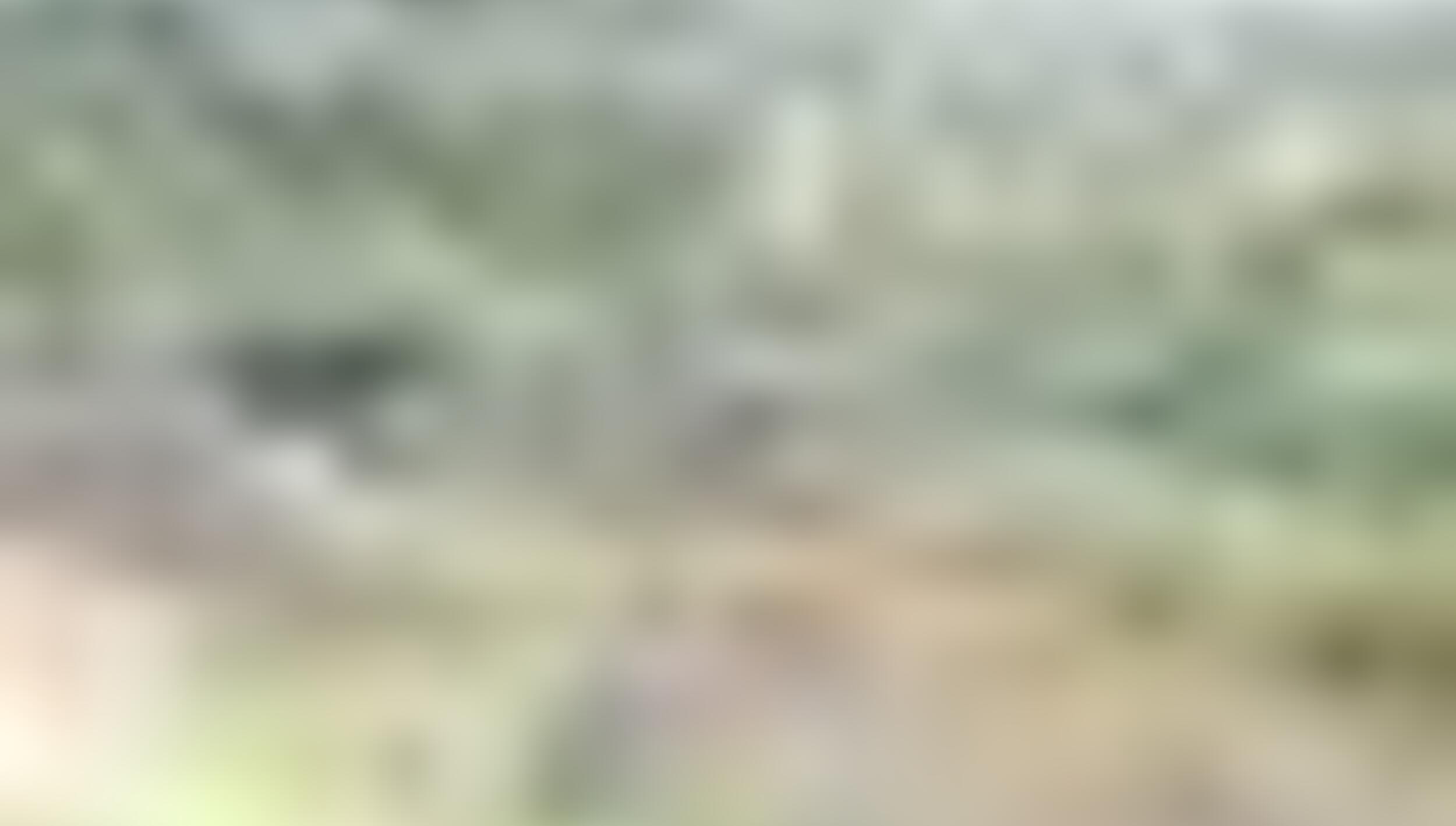 tiny_thumb_T03_MDouro_05
