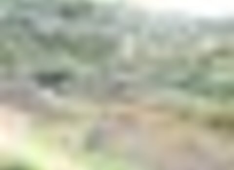 tiny_thumb_T03_MDouro_05