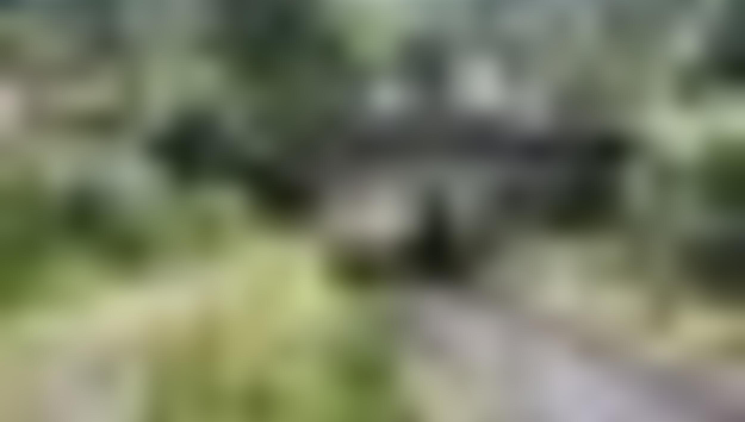 tiny_thumb_T05_CasteloBranco_01