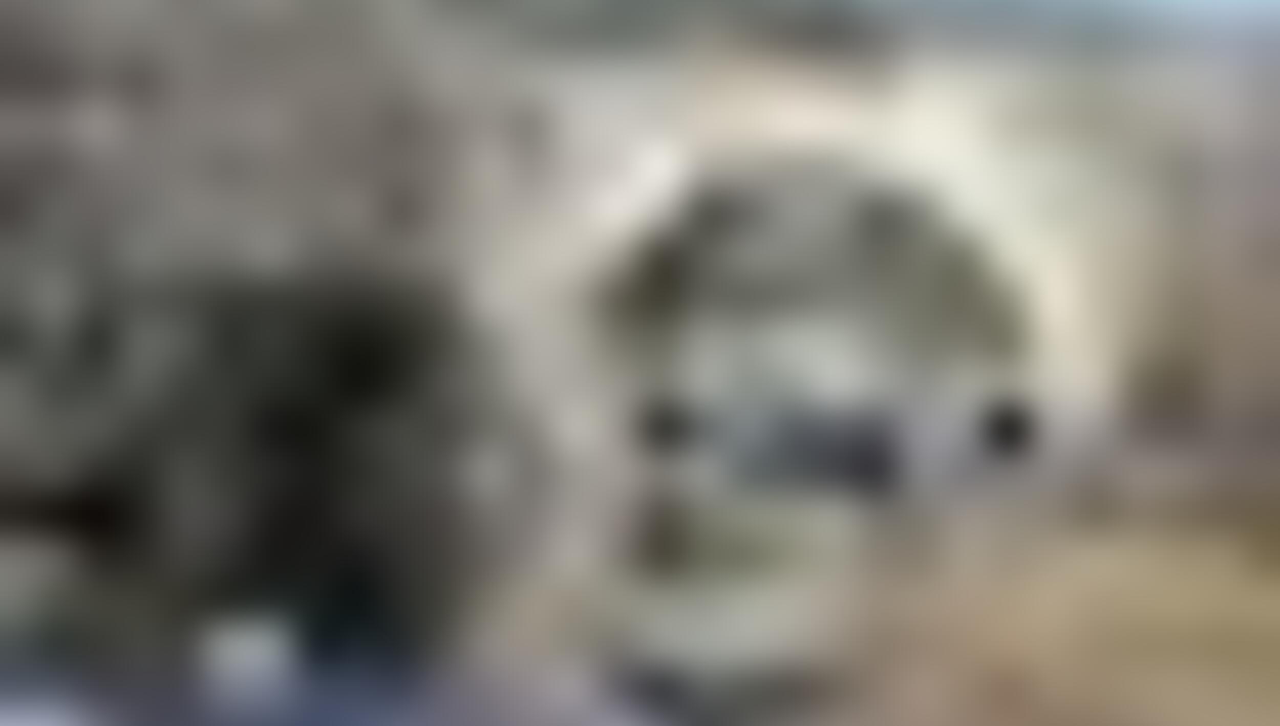 tiny_thumb_ponte_do_rio_azibo