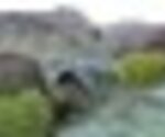 tiny_thumb_T04_11___3___Medium_