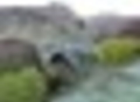 tiny_thumb_T04_11___3___Medium_
