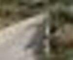 tiny_thumb_ponte_de_zava