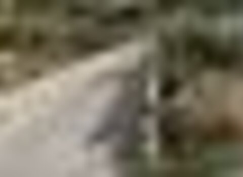 tiny_thumb_ponte_de_zava