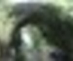 tiny_thumb_T05_SaoMartinhoPeso_04