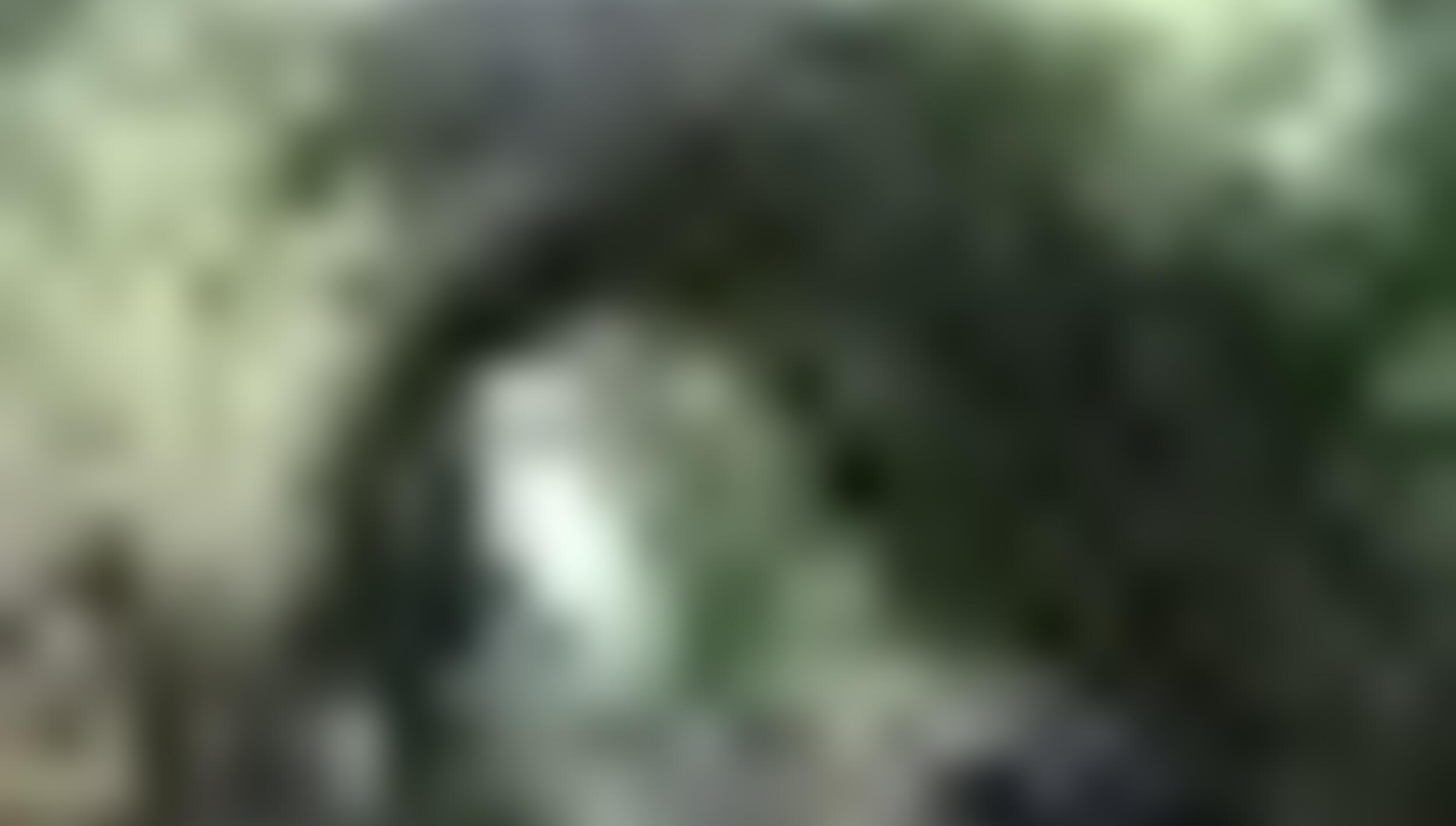 tiny_thumb_T05_SaoMartinhoPeso_04