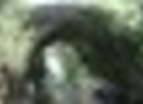 tiny_thumb_T05_SaoMartinhoPeso_04