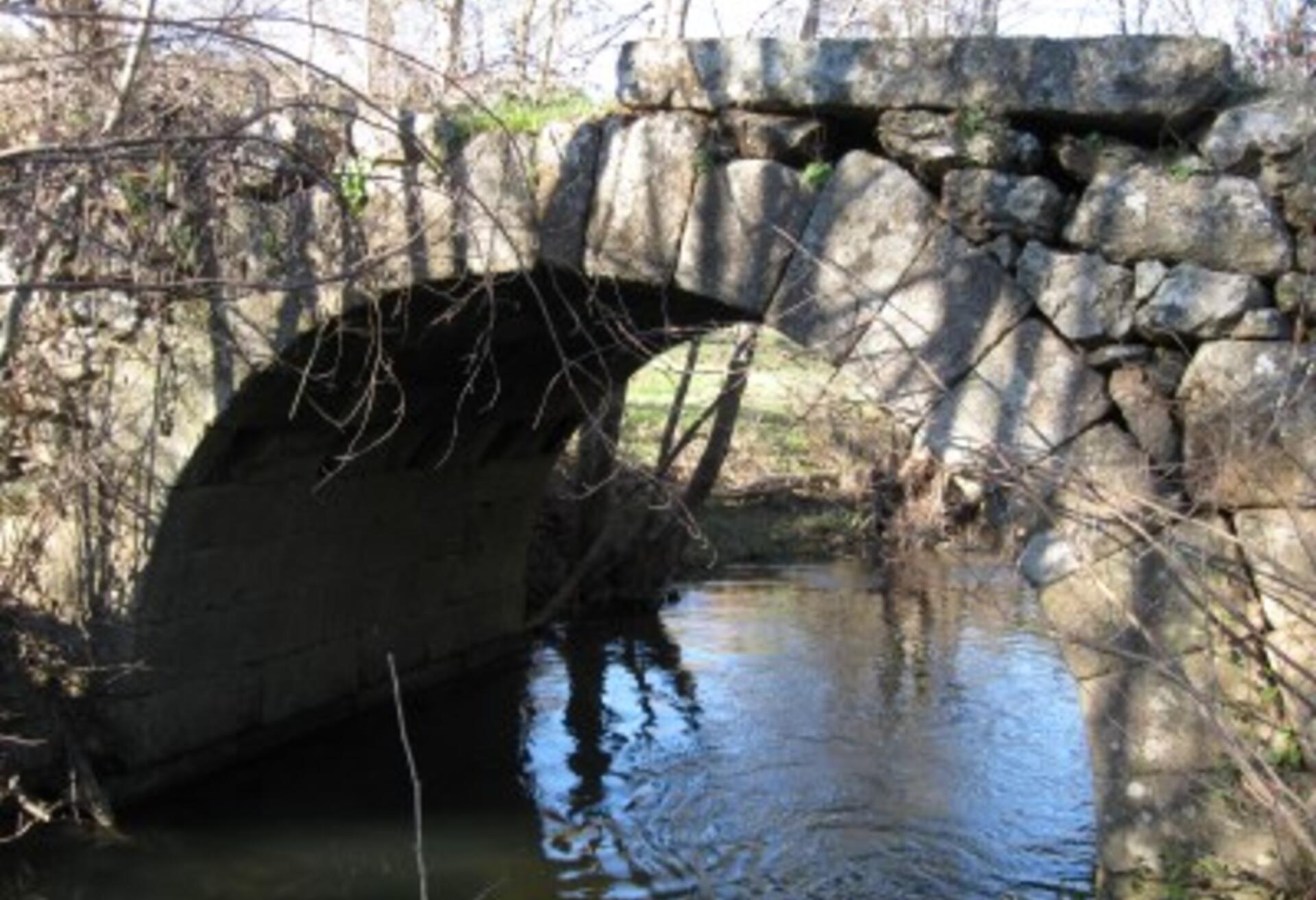 ponte_gamona