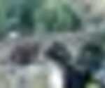 tiny_thumb_Ponte_Argoselo-Pinelo_1_1280_720
