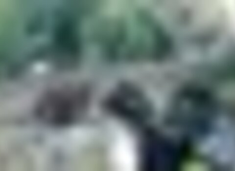 tiny_thumb_Ponte_Argoselo-Pinelo_1_1280_720