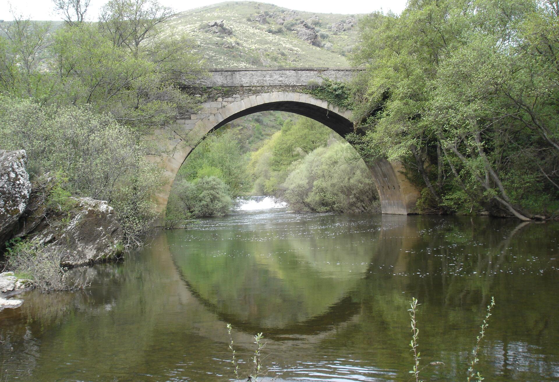 ponte_carcao