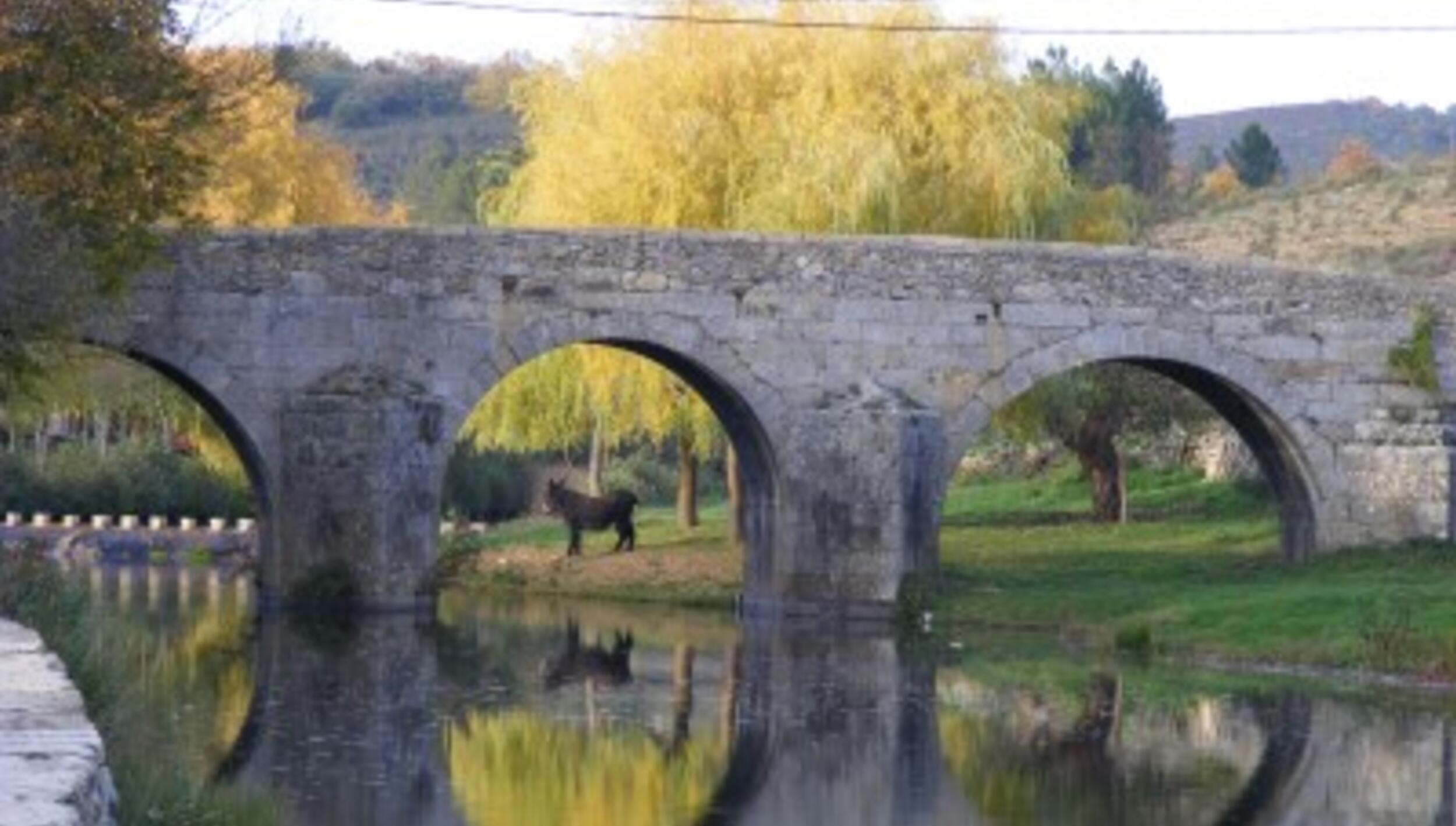 Ponte de São Joanico