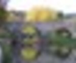 tiny_thumb_T01_SaoJoanico_01