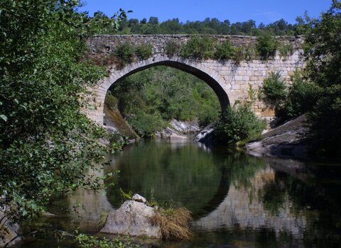 Ponte_das_Vinhas_Moimenta__Medium_