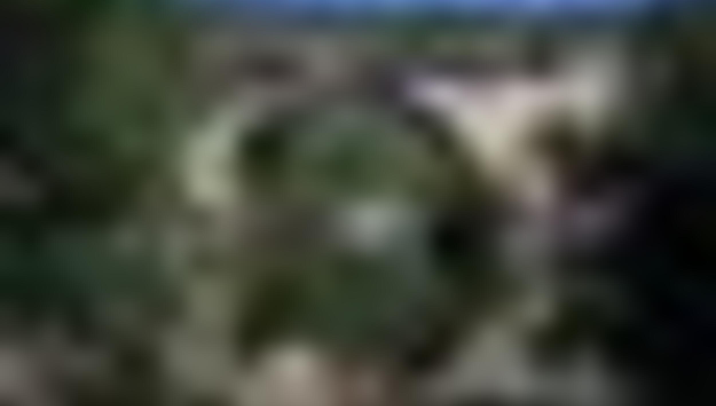 tiny_thumb_Ponte_das_Vinhas_Moimenta__Medium_
