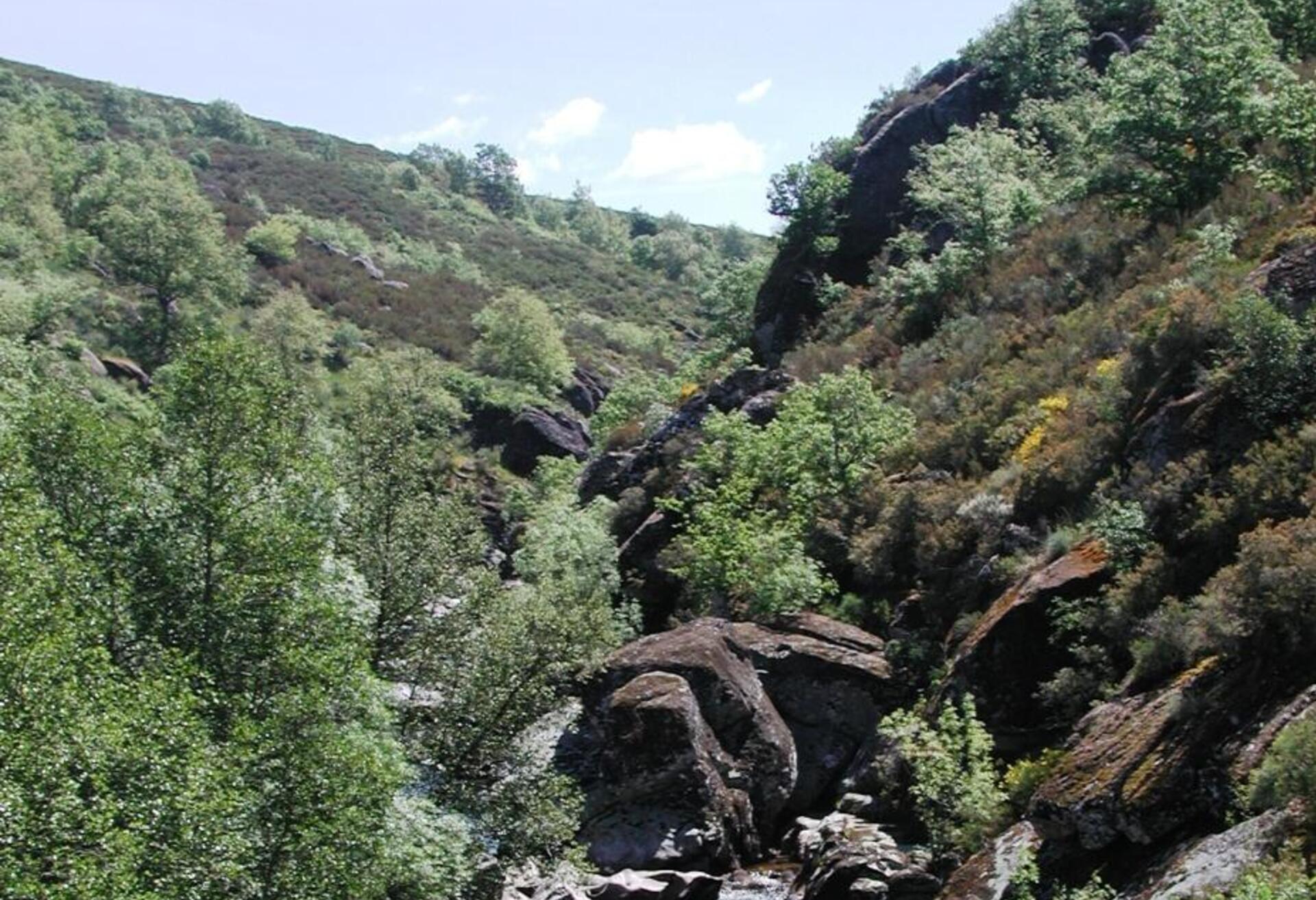 rio_tuela_moimenta_ponto_do_Cou_o