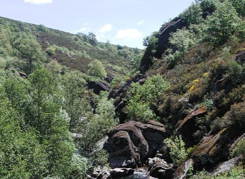rio_tuela_moimenta_ponto_do_Cou_o