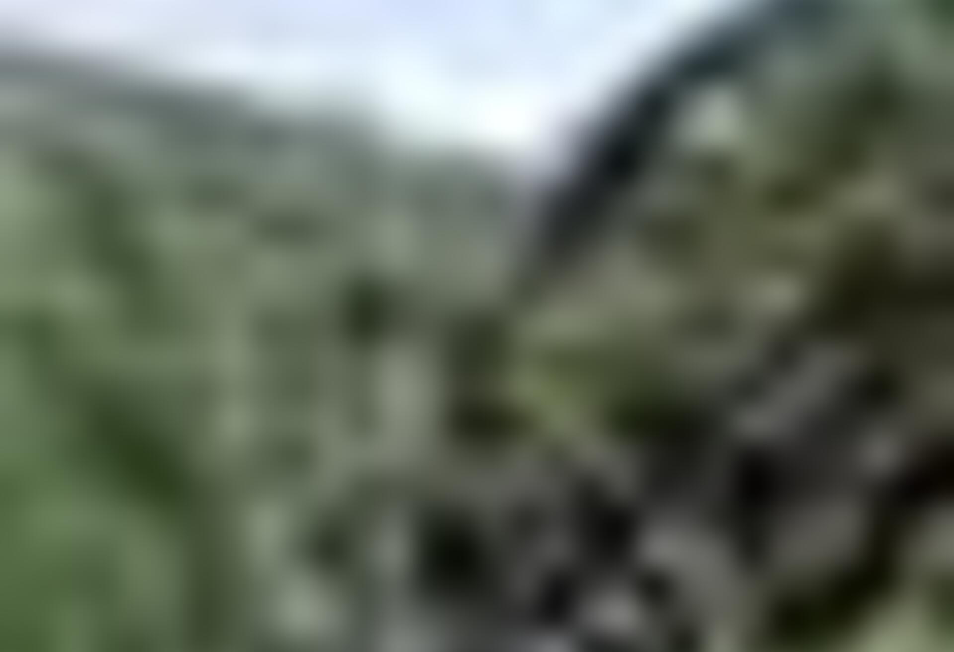 tiny_thumb_rio_tuela_moimenta_ponto_do_Cou_o