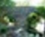 tiny_thumb_Ponte_Velha_de_Soeira5