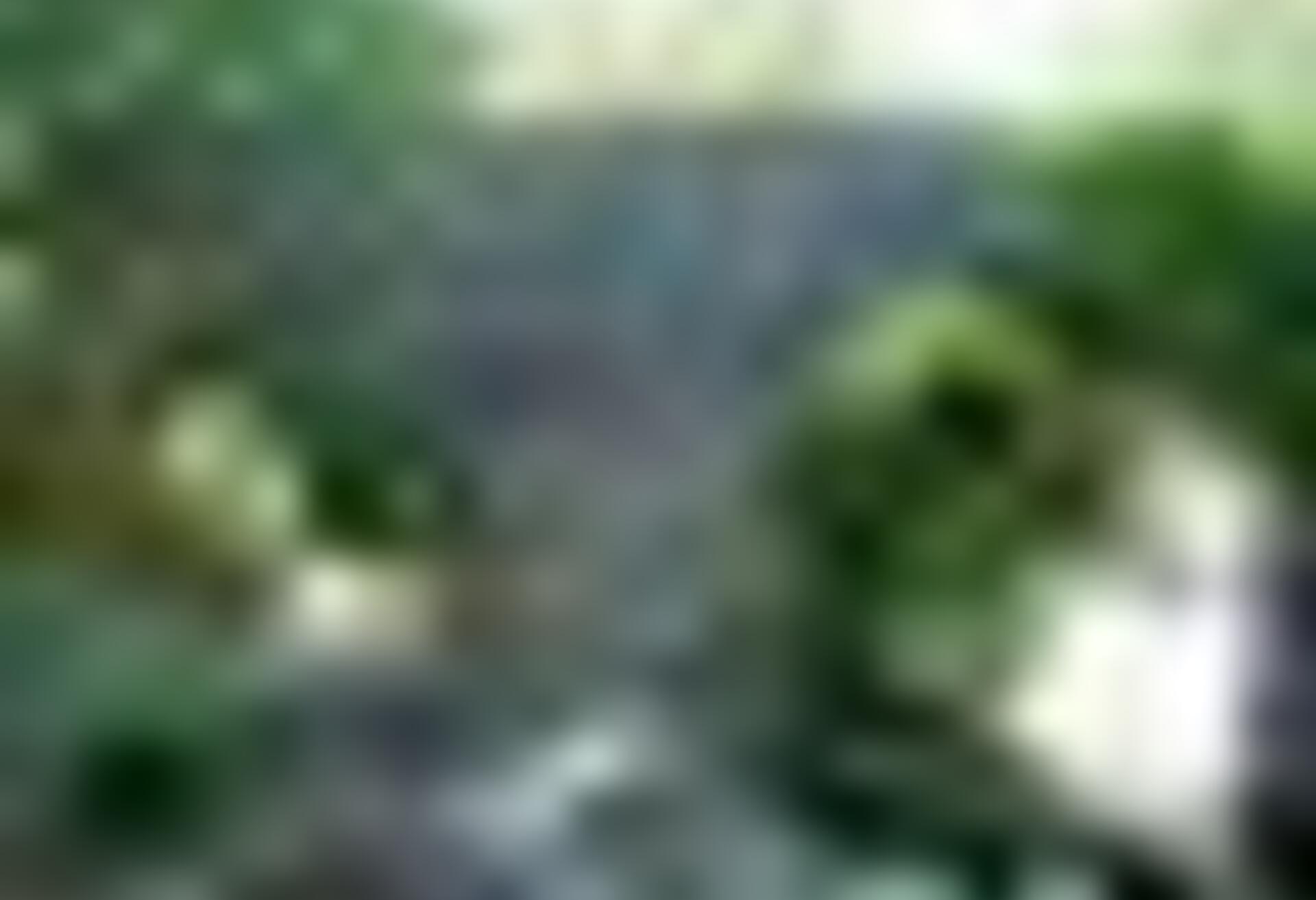tiny_thumb_Ponte_Velha_de_Soeira5