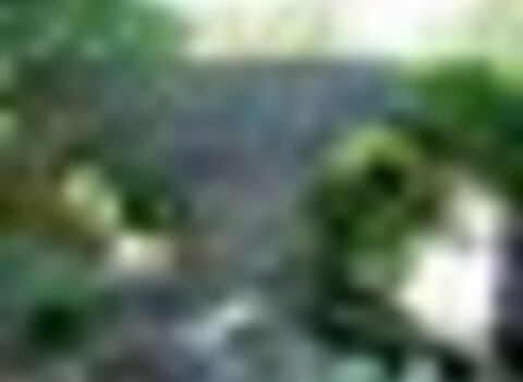 tiny_thumb_Ponte_Velha_de_Soeira5
