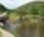 tiny_thumb_ponte_de_sandim
