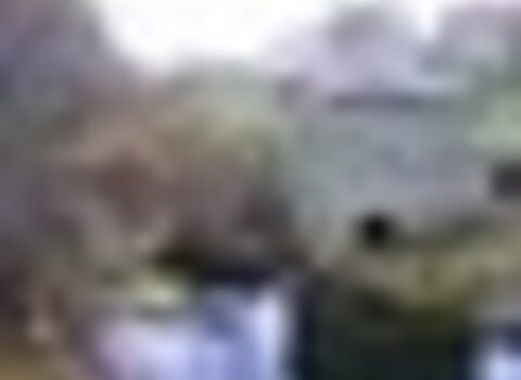 tiny_thumb_T10_01___59___Medium_