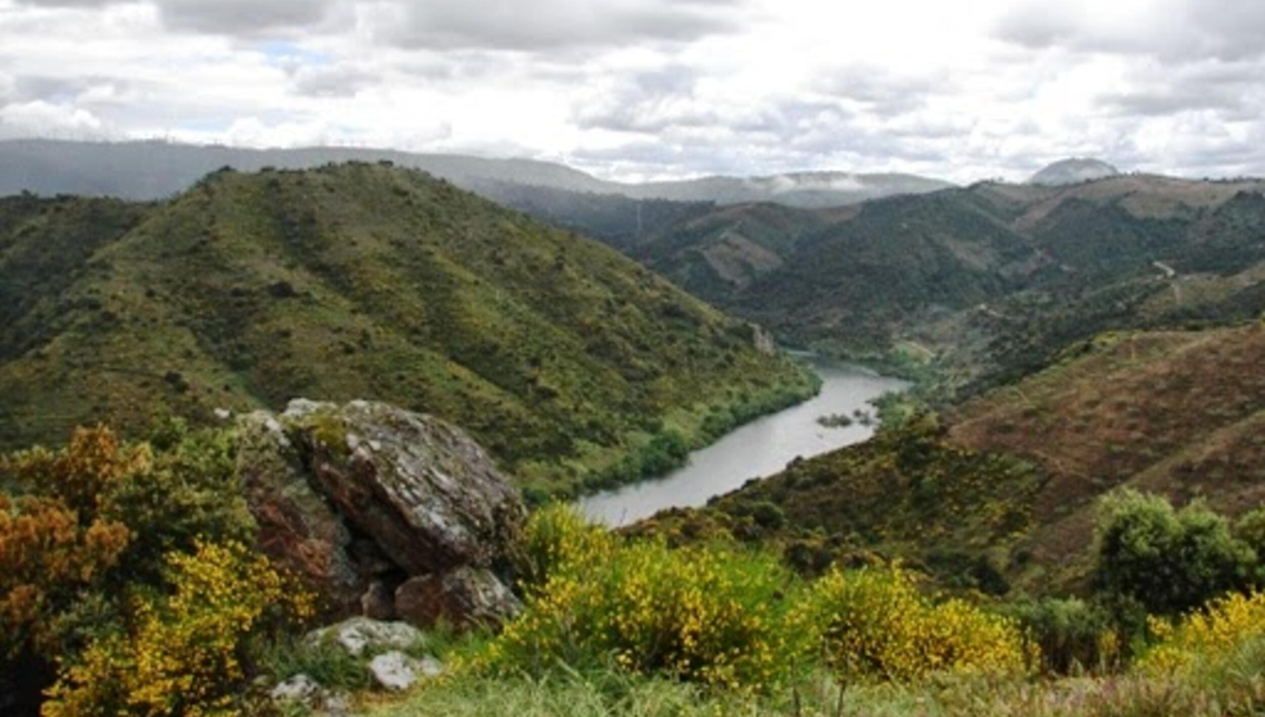 Miradouro de Picões