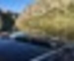 tiny_thumb_IMG_2224__Medium_
