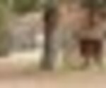 tiny_thumb_T07_08___12___Medium_