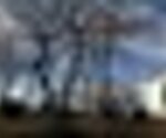 tiny_thumb_T09_01___6___2___Medium_