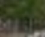tiny_thumb_parque_merendas_avelanoso