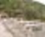 tiny_thumb_parque_merendas_juncais