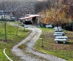 pmerendas_penas_roias