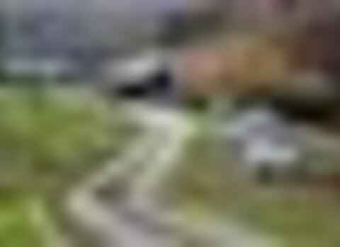 tiny_thumb_pmerendas_penas_roias