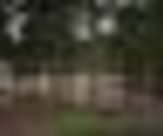 tiny_thumb_parque_de_merendas_do_barrocal