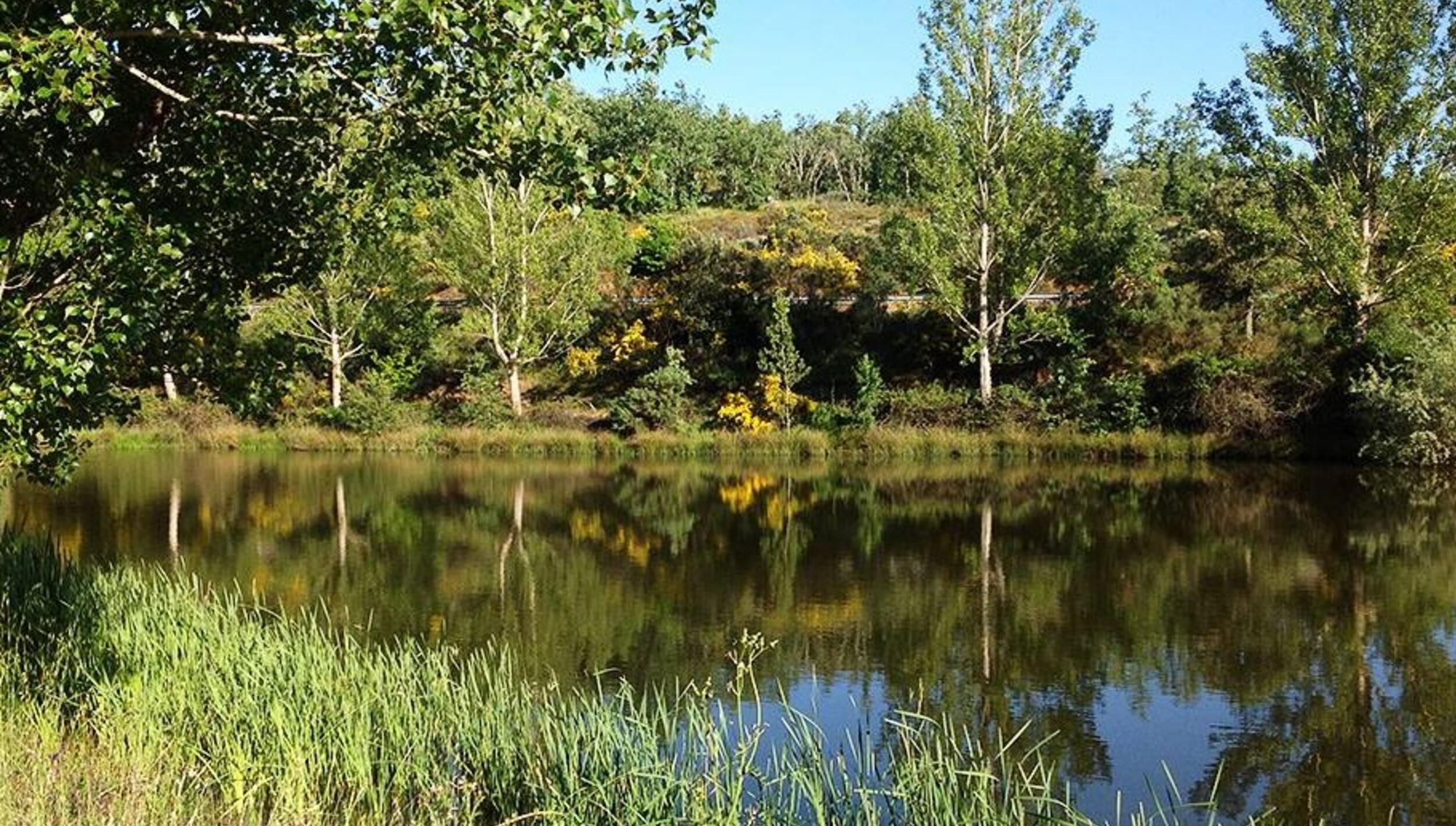 Parque de Merendas de Vilar Seco