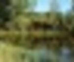 tiny_thumb_p_merendas_vilar_seco