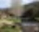 tiny_thumb_T02_02___1___Medium_