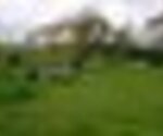 tiny_thumb_pmerendas_pa_o1