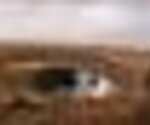tiny_thumb_parque_merendas_santuario