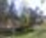 tiny_thumb_parquemerendas_quintanilha