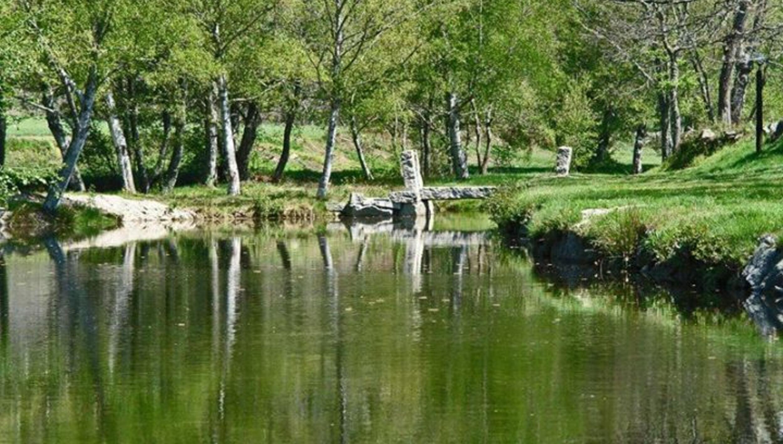 Parque de Merendas e Praia Fluvial da Feijoeira