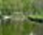tiny_thumb_10426705_595983137176404_5795542218941504098_n