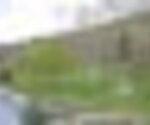 tiny_thumb_Serapicos_2__Medium_