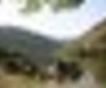 tiny_thumb_cais_fluvial_de_Peredo_de_Bemposta__Medium_