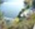 tiny_thumb_Cais_Fluvial__Medium_