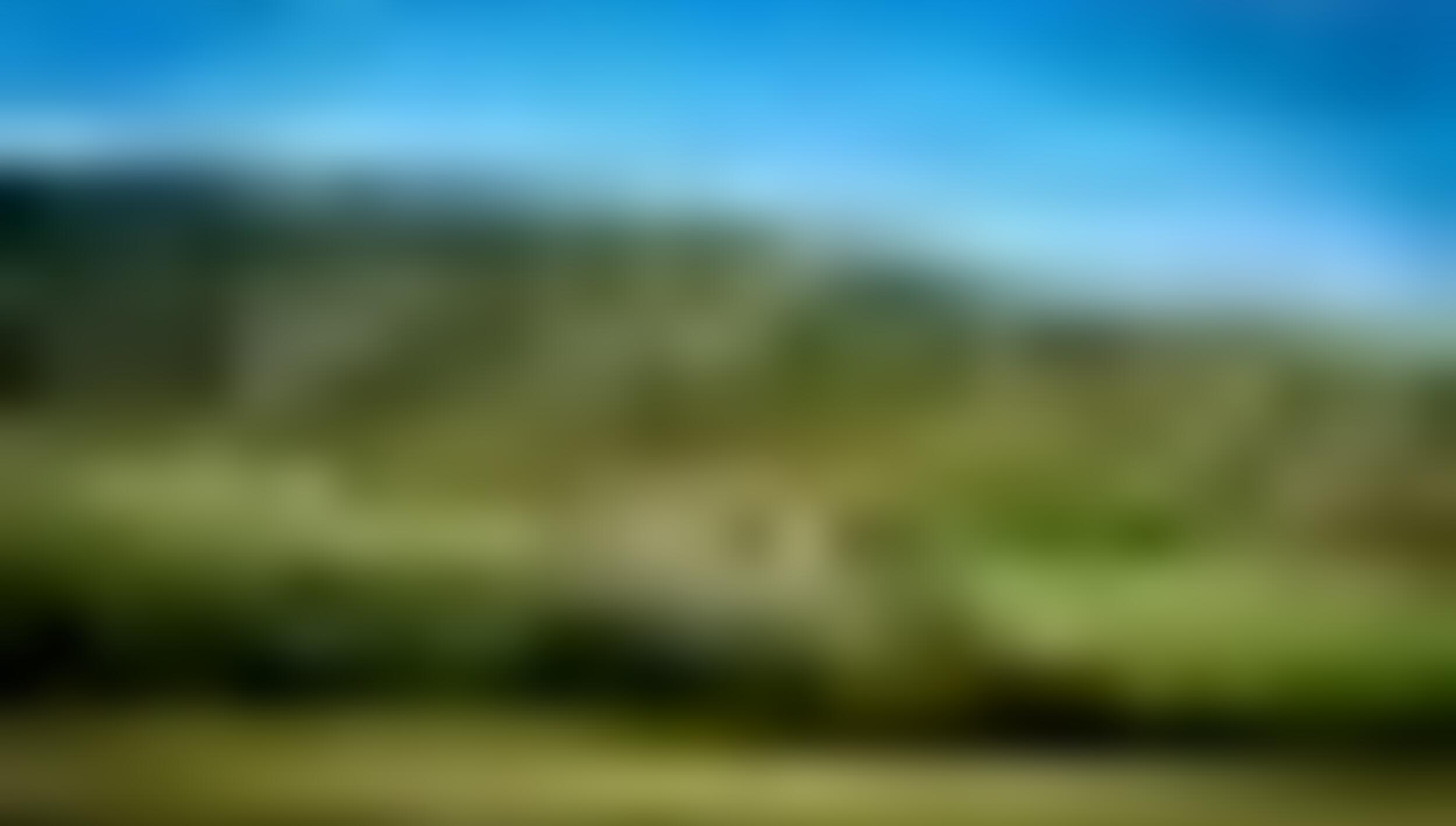 tiny_thumb_250-112-Quinta_das_Covas