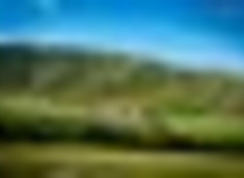 tiny_thumb_250-112-Quinta_das_Covas